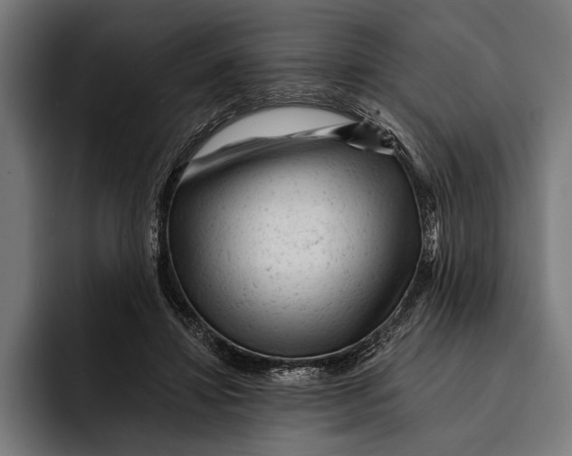 X0000092300452200710121450