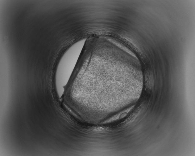 X0000092300453200710121450