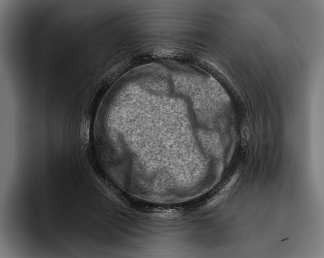 X0000092300454200710121450