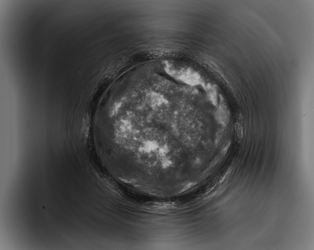 X0000092300458200710121450