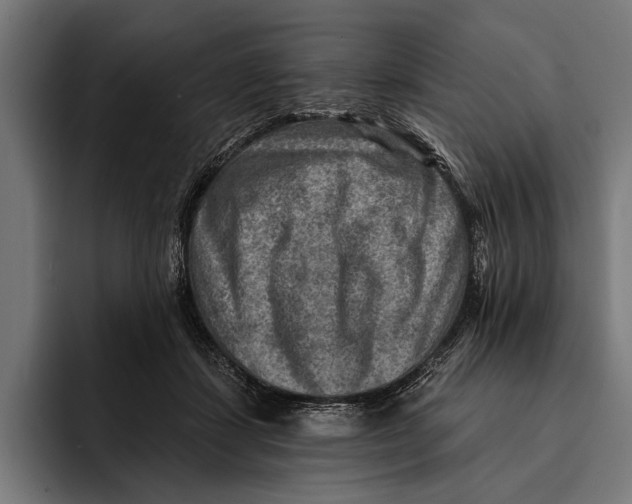 X0000092300459200710121450