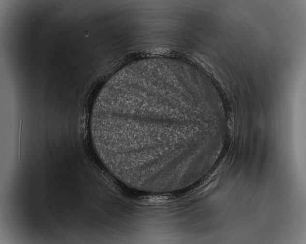 X0000092300462200710121450