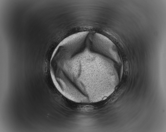 X0000092300463200710121450