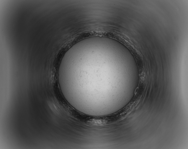 X0000092300464200710121450