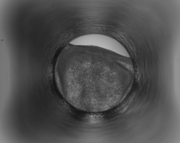 X0000092300466200710121450