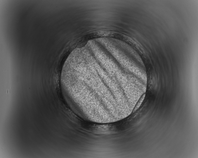 X0000092300473200710121450