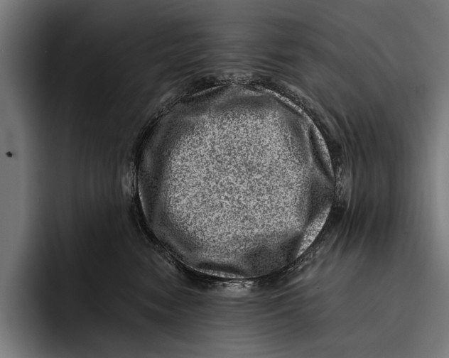 X0000092300474200710121450