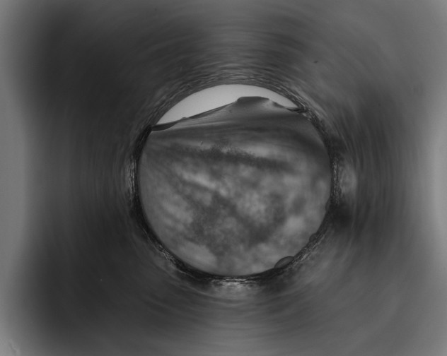 X0000092300475200710121450