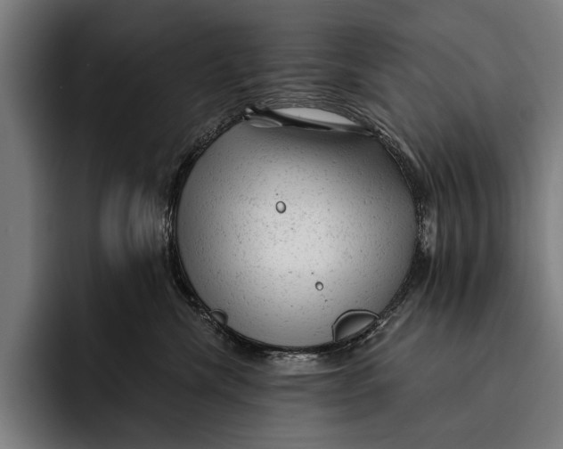 X0000092300476200710121450