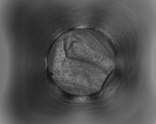 X0000092300479200710121450