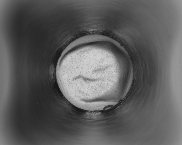 X0000092300480200710121450