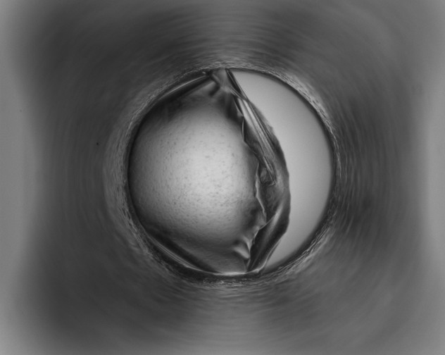 X0000092300481200710121450