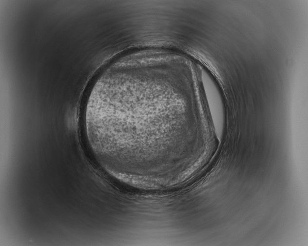 X0000092300483200710121450