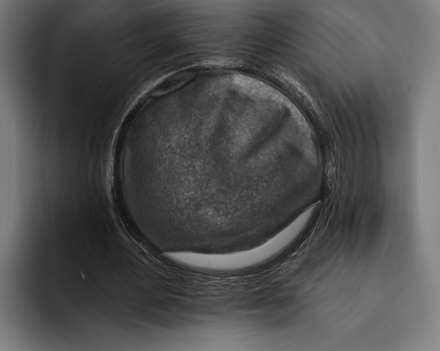 X0000092300484200710121450