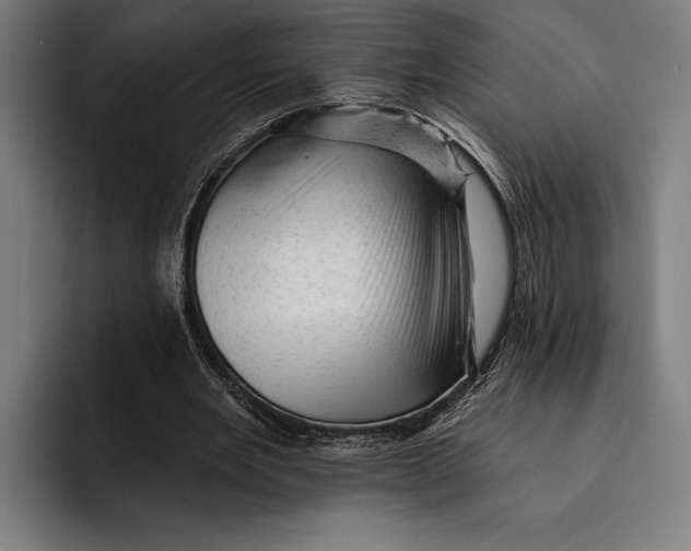 X0000092300485200710121450