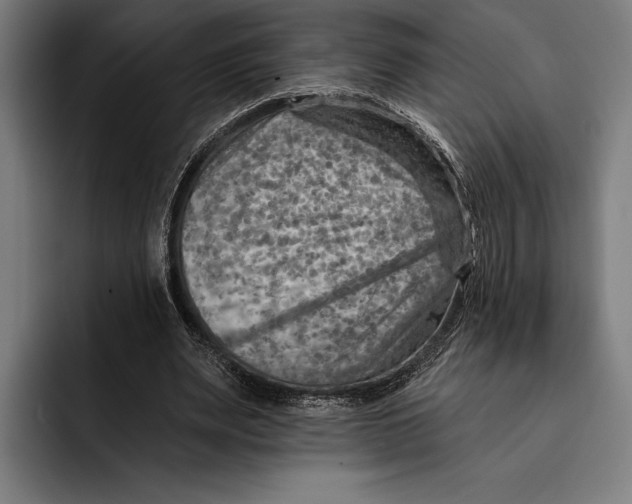 X0000092300487200710121450