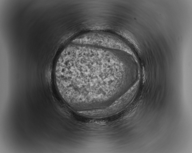 X0000092300491200710121450