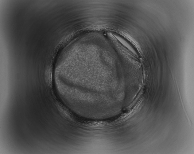 X0000092300493200710121450