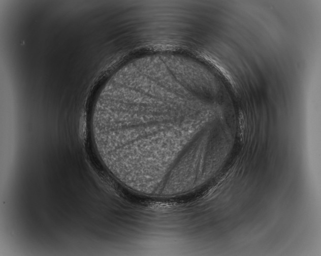 X0000092300494200710121450