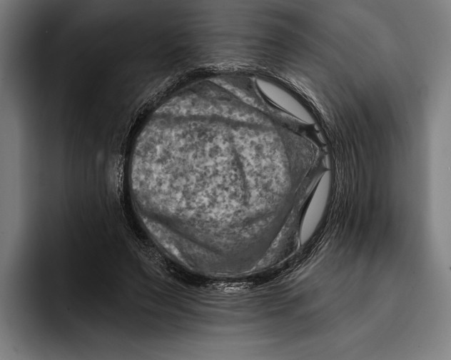 X0000092300495200710121450