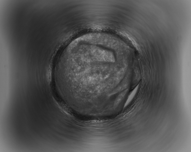 X0000092300496200710121450