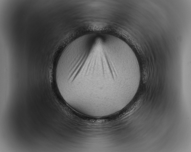 X0000092300497200710121450