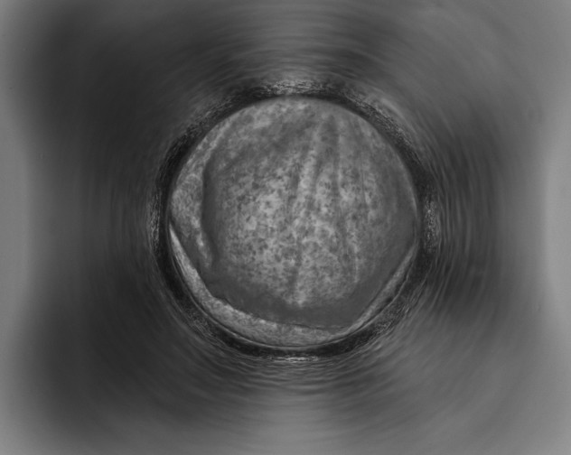 X0000092300499200710121450