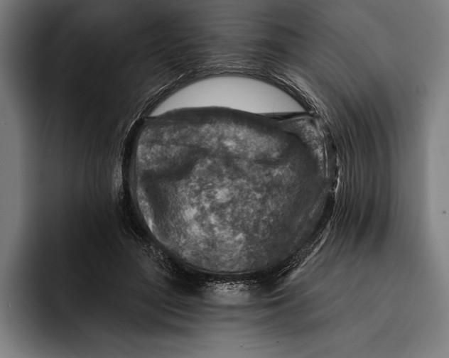 X0000092300500200710121450