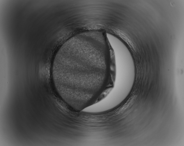 X0000092300501200710121450