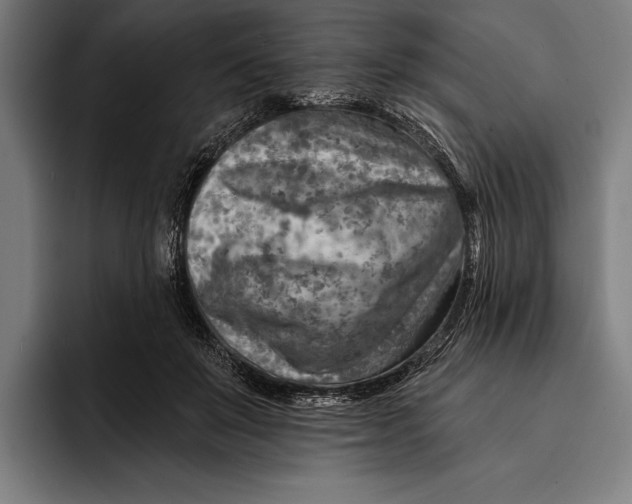 X0000092300503200710121450