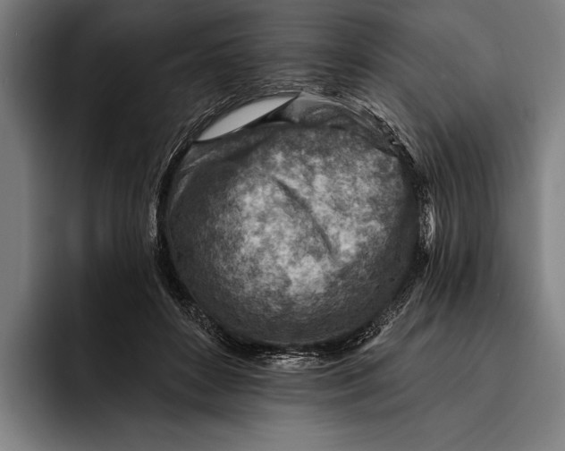 X0000092300504200710121450