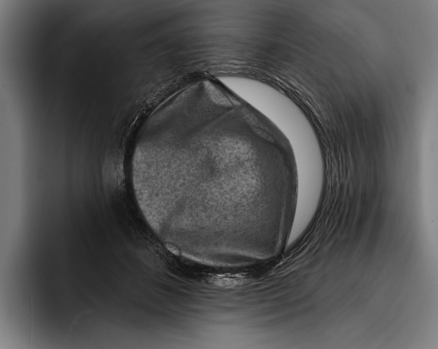 X0000092300508200710121449