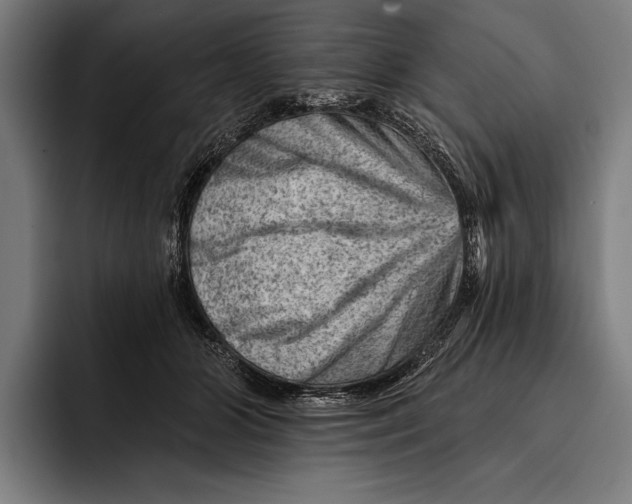 X0000092300510200710121449