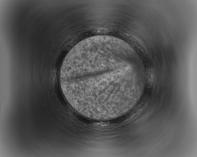 X0000092300511200710121449