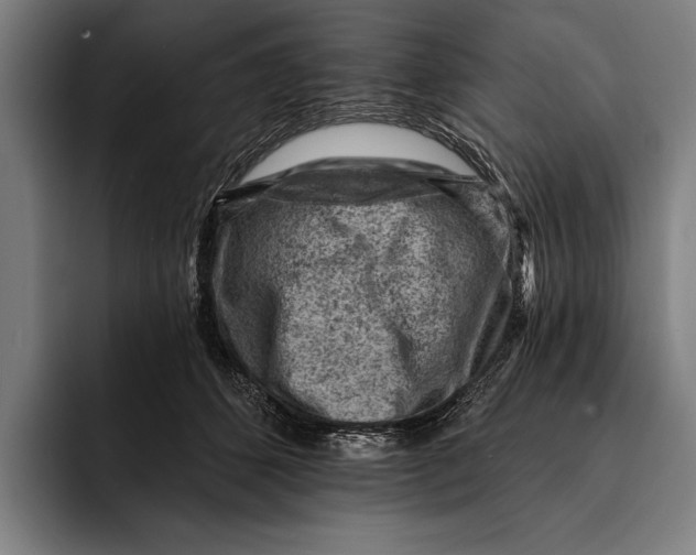 X0000092300512200710121449