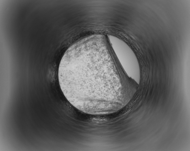 X0000092300515200710121449