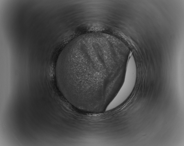 X0000092300517200710121449