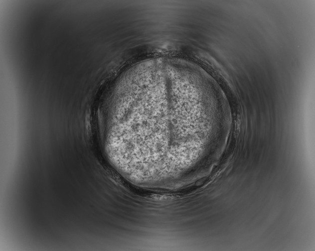 X0000092300520200710121449