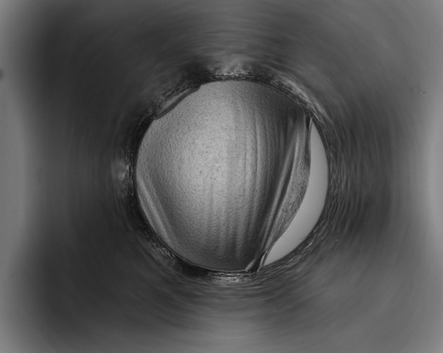 X0000092300521200710121449