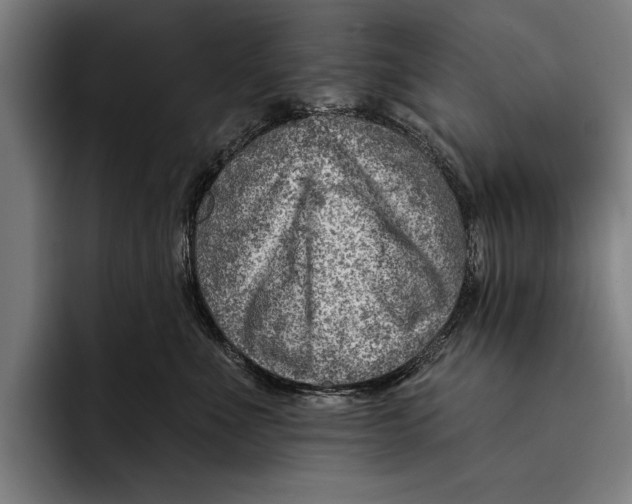 X0000092300523200710121449