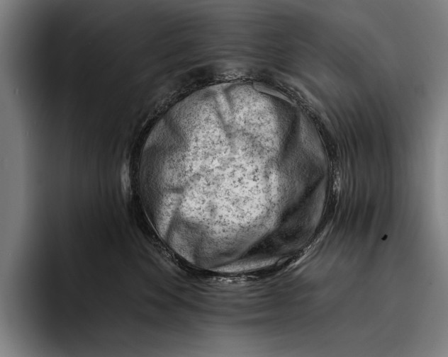 X0000092300524200710121449