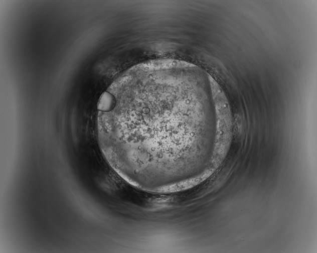 X0000092300527200710121449