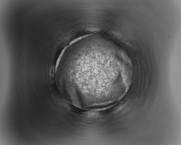 X0000092300528200710121449