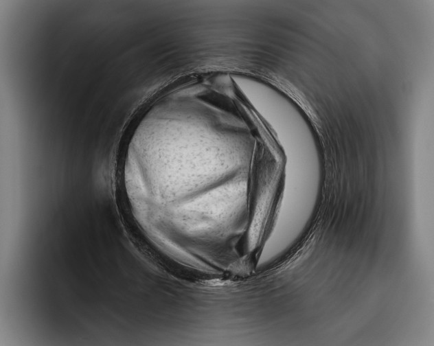 X0000092300530200710121449