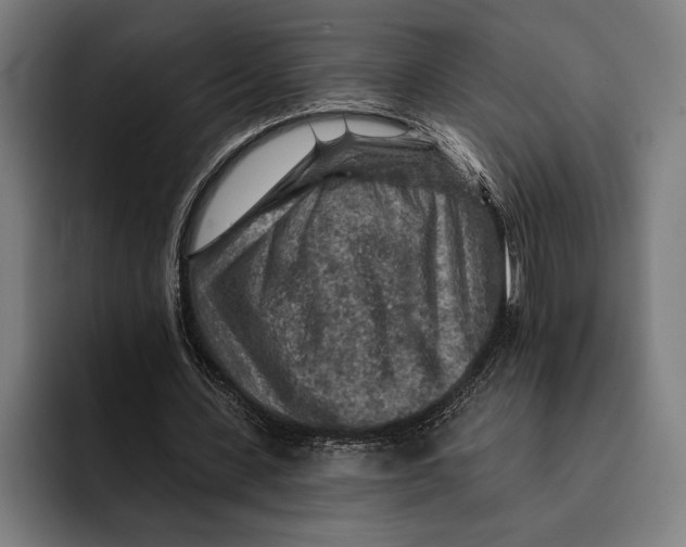 X0000092300531200710121449