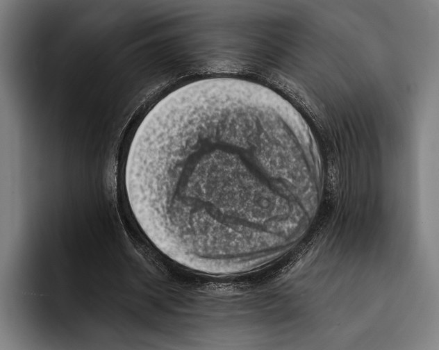 X0000092300534200710121449