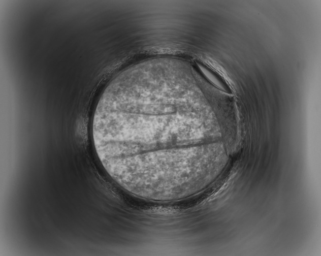 X0000092300537200710121449