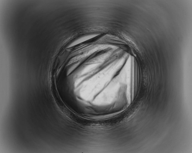 X0000092300538200710121449