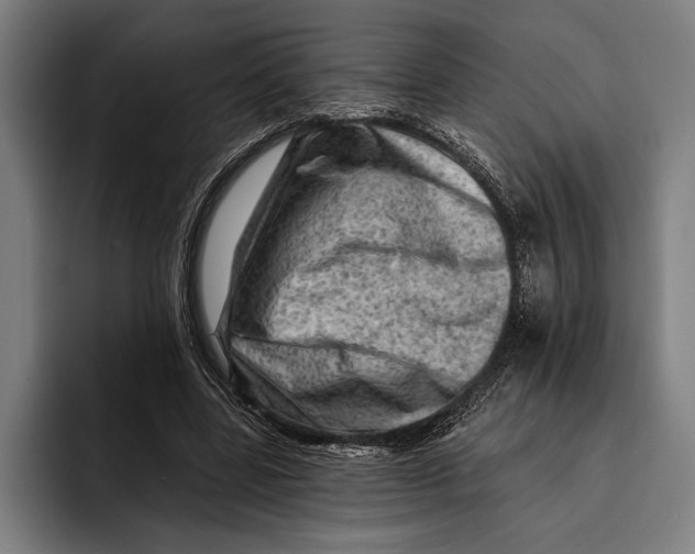 X0000092300539200710121449