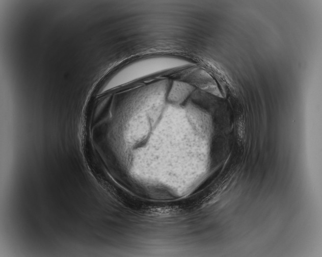 X0000092300540200710121449